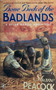 Bone Beds Of The Badlands (ID17061)