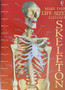 Make This Life-size Cut-out Skeleton (ID17664)