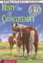 Misty Of Chincoteague (ID3747)