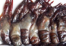 Louisiana Seafood Exchange Soft Shell Crawfish (24) Louisiana Seafood Exchange Soft Shell Crawfish (24)