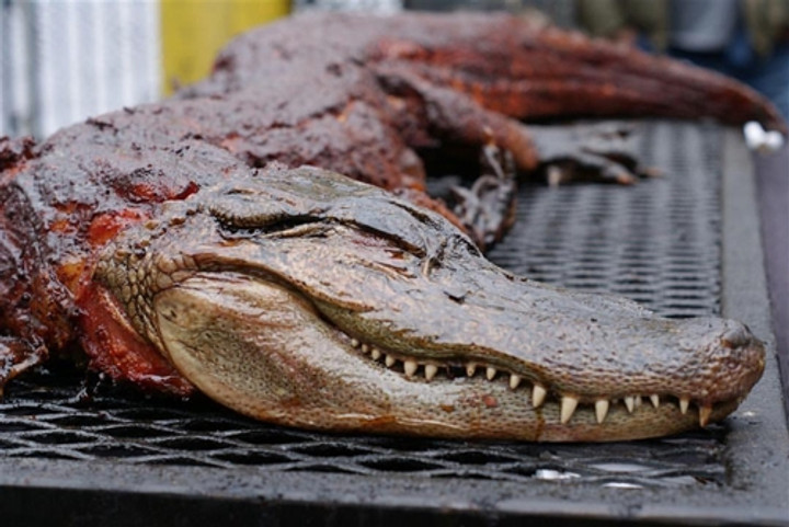 Whole Skinned Alligator per Pound