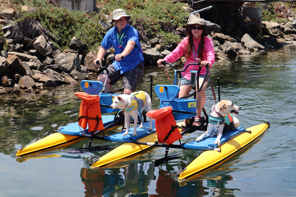 Tandem Hydro Bike Rental