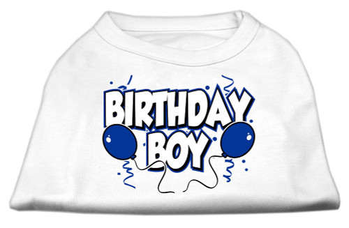 Birthday Boy Screen Print Shirts White Med S528-51-05 MDWT