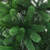  Christmas Tree Green Polyethylene, Steel Medium Foldable A949-246398