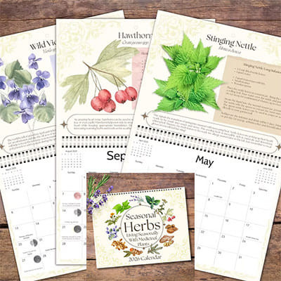 2026 Seasonal Herbs calendar H558-B26SEAHER