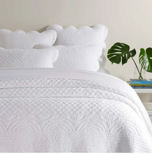 Pine Cone Hill Power Shake Scallop White Quilt