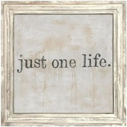 Sugarboo Designs Just One Life Art Print (White Wash Frame)