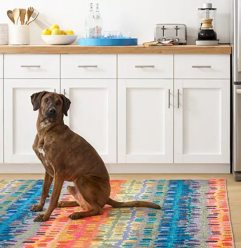 Dash & Albert Paint Chip Multi Washable Rug Dash and Albert