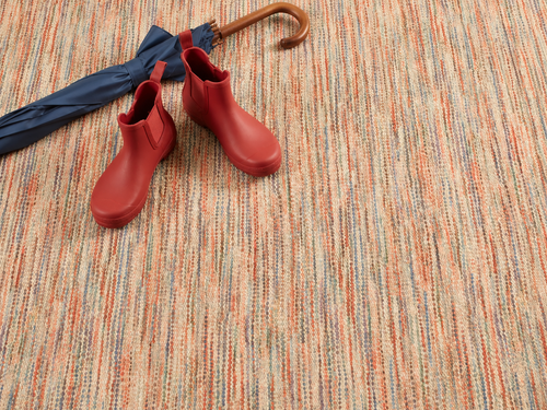 Washable Rugs