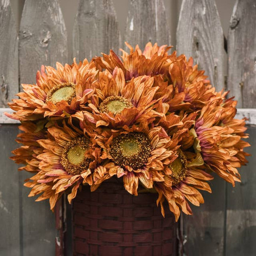 Red and Brown Sunflower Stem Ragon House
