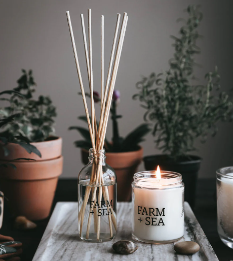 Farm + Sea Reed Diffuser Salt Air