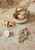 Washable Play Rug Mushroom Forest Lorena Canals