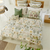 Designers Guild Eleonora Cameo Sham Set of 2