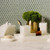 Pigeon & Poodle Abiko Rectangular Soap Dish in Pearl White Pigeon & Poodle