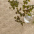 Dash & Albert Diamond Natural Sisal Woven Rug Dash and Albert