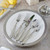 Arte Italica Hotel 5-piece Placesetting