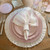 Arte Italica Finezza Rosa Pink Salad / Dessert Plate Set of 4
