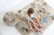 Lorena Canals Washable Play Rug Path of Nature