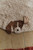 Lorena Canals Washable Rug Dogs