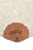 Lorena Canals Washable Rug Dogs