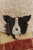 Lorena Canals Washable Rug Dogs