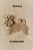 Lorena Canals Wall Hanger Dogs