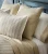 Peacock Alley Shelby Stripe Classic Printed Duvet Set