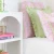 Rosemary Stripe Pink Sham