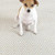 Dash & Albert Diamond Platinum/White Indoor/Outdoor Rug