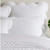 Pine Cone Hill Power Shake Scallop White Quilted Sham