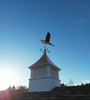 Copper Heron Weathervane on Morton Cupola 