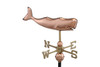 Small Whale 