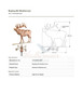 Bugling Elk Weathervane