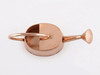 Premium Large Hand Hammered Copper Watering Can