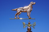 Setter Weathervane with Collar