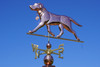 Lab Weathervane with Collar