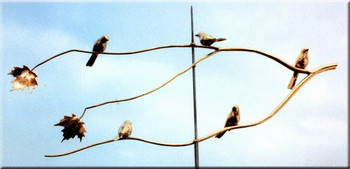 Sparrows on Branch Weathervane