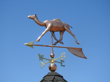 Camel Weathervane 1 