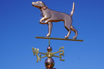 English Pointer Weathervane With Collar
