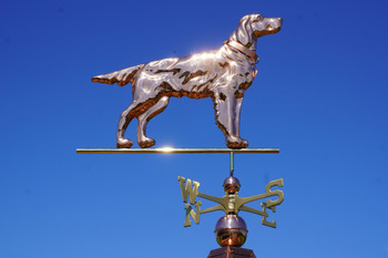 Setter Weathervane with Collar
