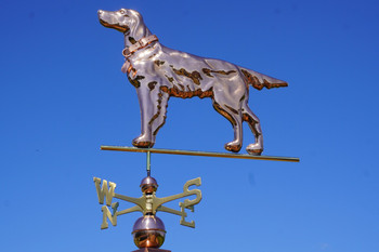 Setter Weathervane with Collar