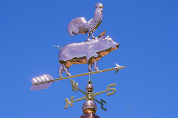 Pig and Rooster Weathervane 