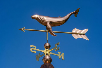 Small Humpback Whale Weathervane