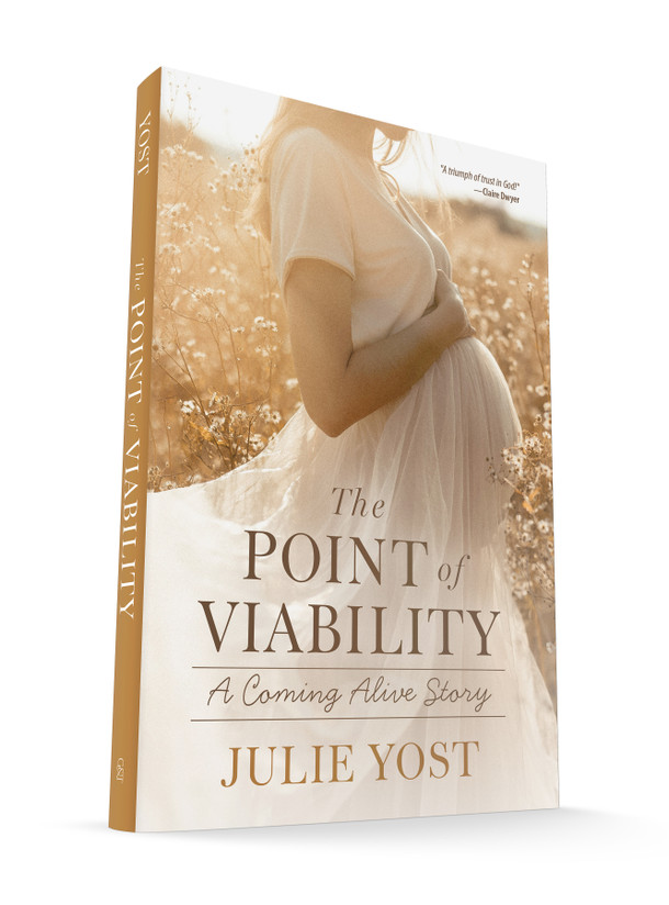 The Point of Viability: A Coming Alive Story by Julie Yost Book 3D Book Image