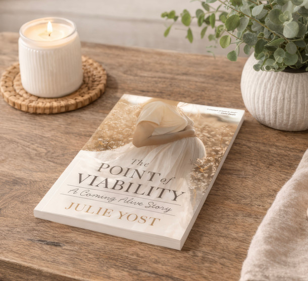The Point of Viability: A Coming Alive Story by Julie Yost Book Image