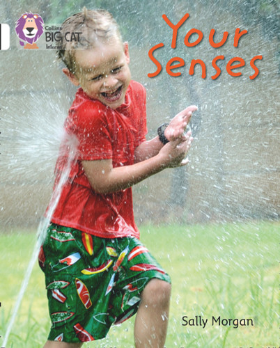 The Senses