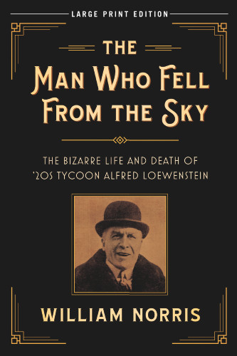 The Man Who Fell From the Sky (Large Print Edition)