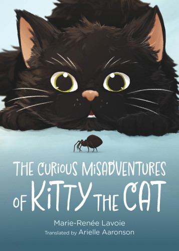 The Curious Misadventures of Kitty the Cat