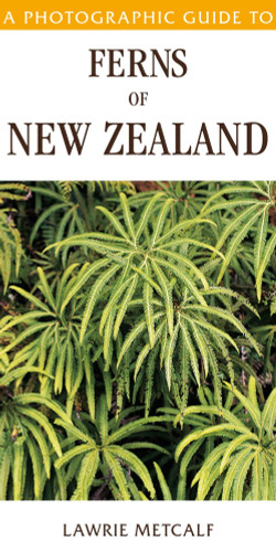 A Photographic Guide To Ferns Of New Zealand