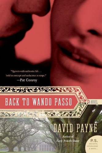 Back to Wando Passo: A Novel Back to Wando Passo: A Novel